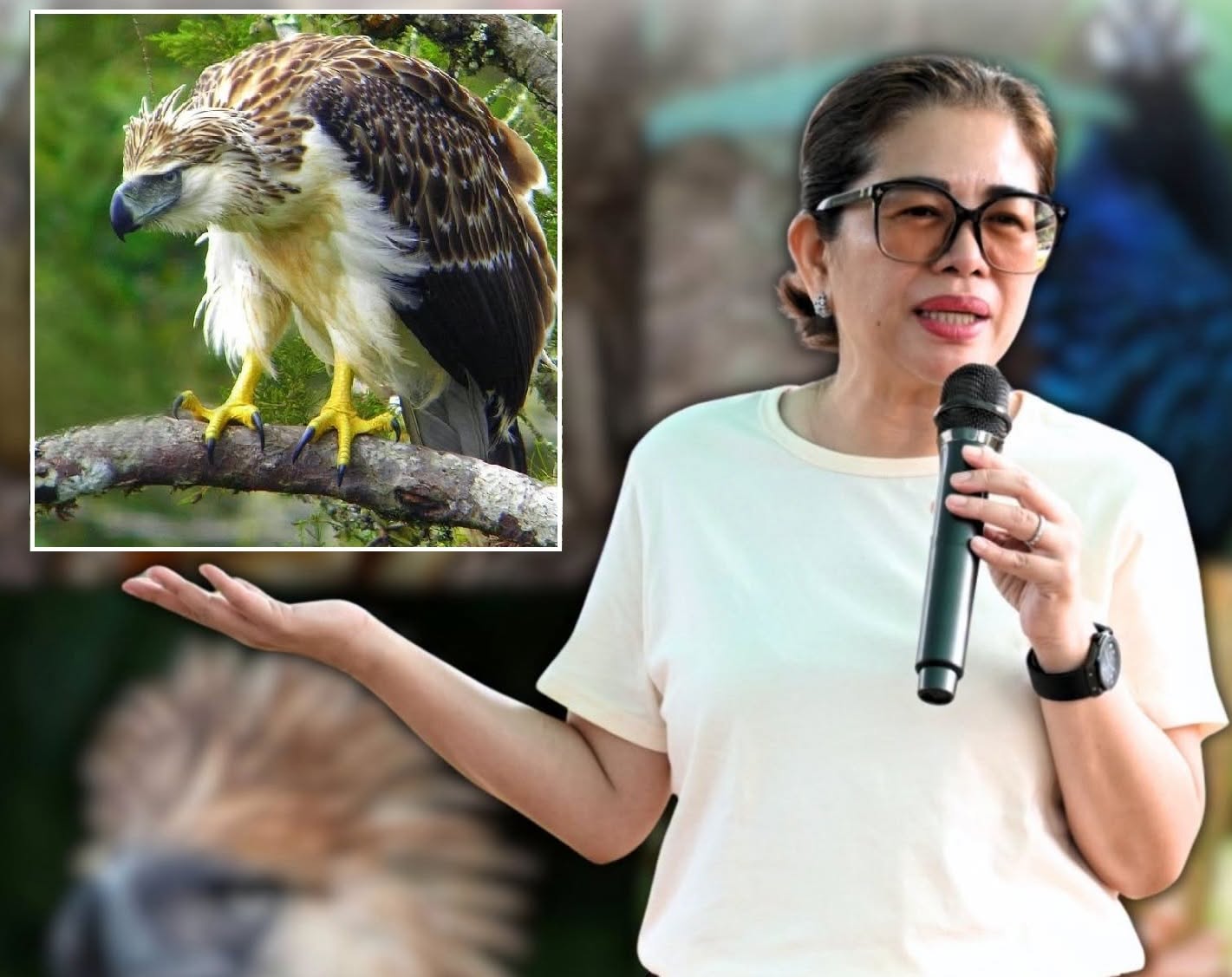  Stringent inter-agency Cotabato wildlife protection campaign set